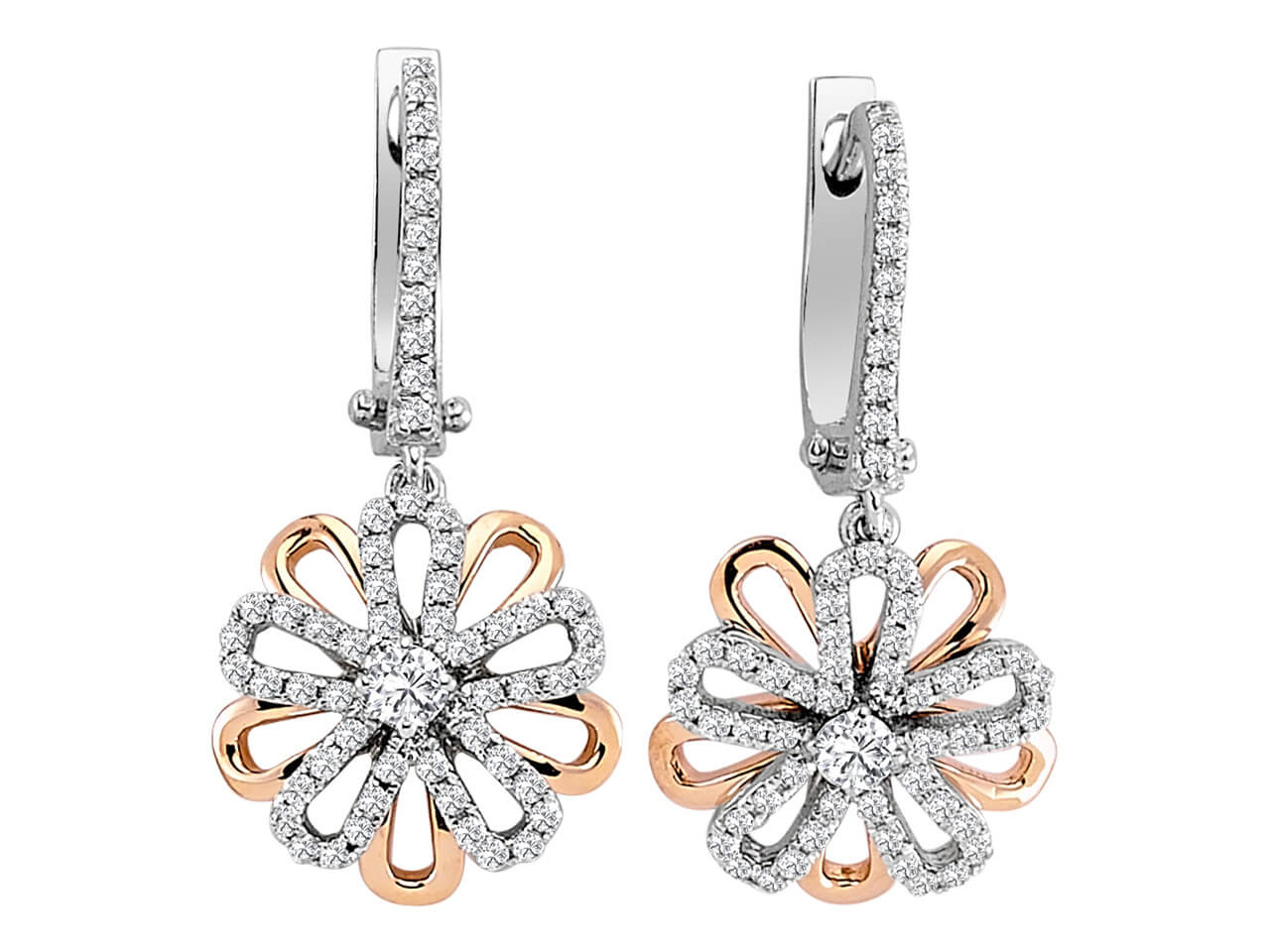 Diamond two-tone daisy earrings in 14 K white and rose gold